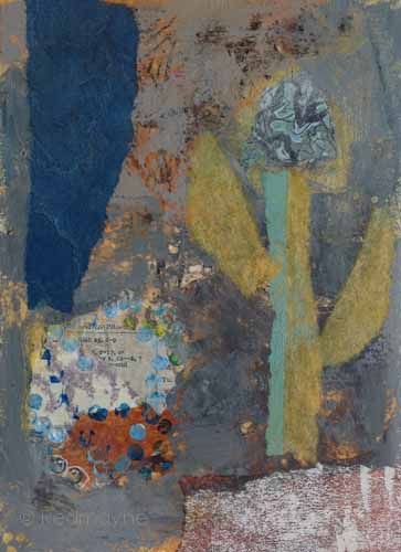 Cactus flower© Catherine Redmayne