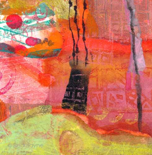 Sea anemone© Catherine Redmayne