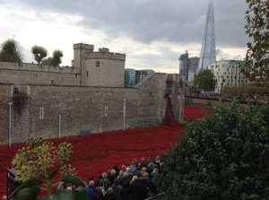 tower of london and ceramic poppies