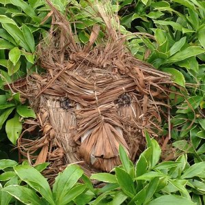a woven structure representing a lion mask